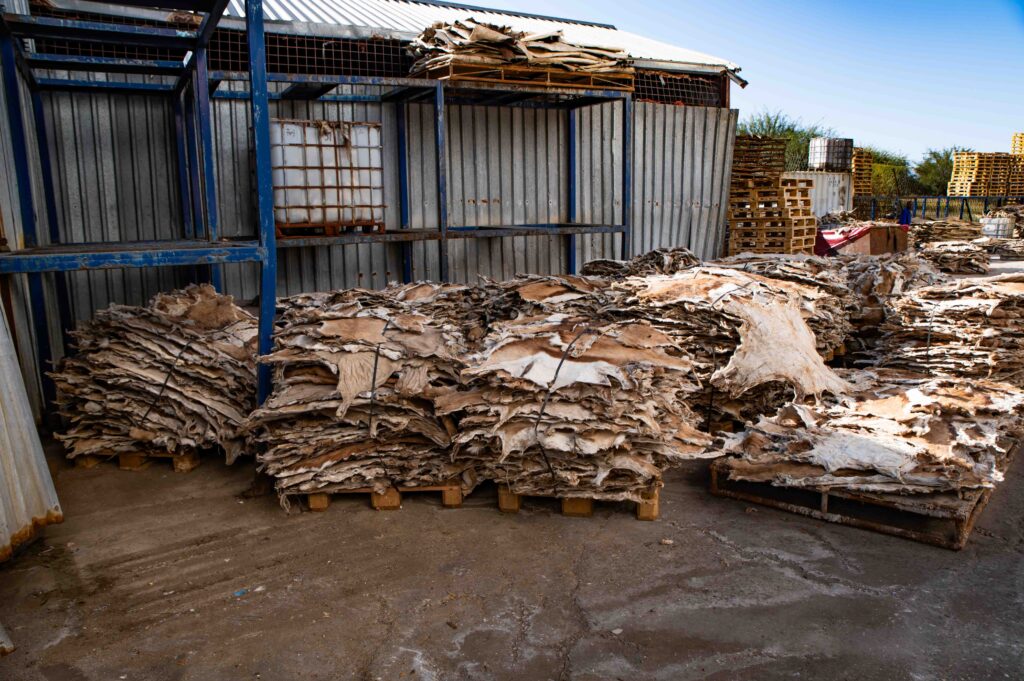 Leder Produktion Namibia