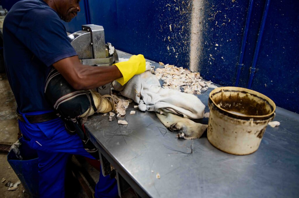 Leder Produktion Namibia